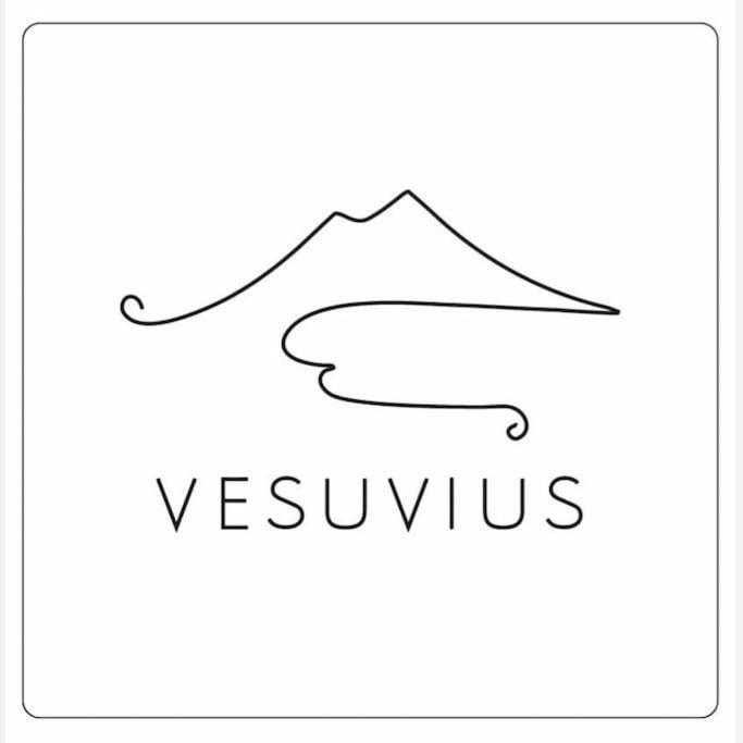 Апартаменти Vesuvius A Mezzocannone Неаполь Екстер'єр фото