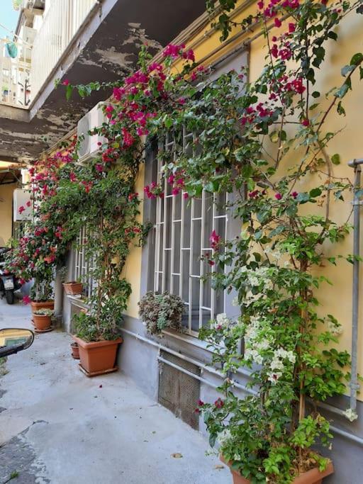 Апартаменти Vesuvius A Mezzocannone Неаполь Екстер'єр фото
